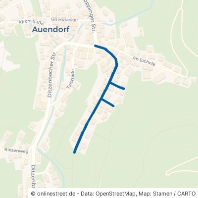 Krügerstraße Bad Ditzenbach Auendorf 