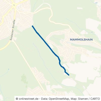 Ochsenweg Königstein im Taunus Mammolshain 