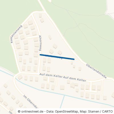 Kiefernweg Dautphetal Holzhausen 