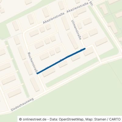 Ahornstraße Osnabrück Dodesheide 