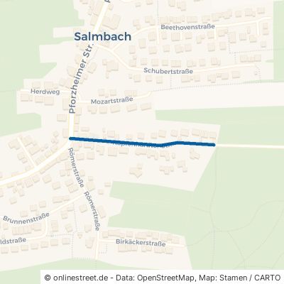 Kapfenhardter Straße Engelsbrand Salmbach 