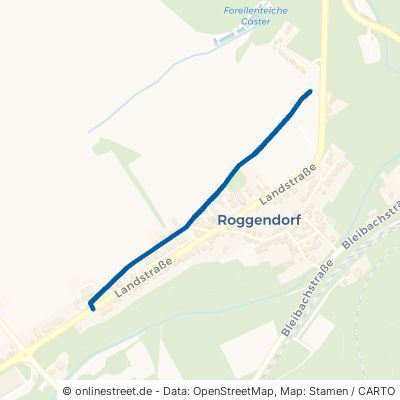 Pirathstr. 53894 Mechernich Roggendorf 