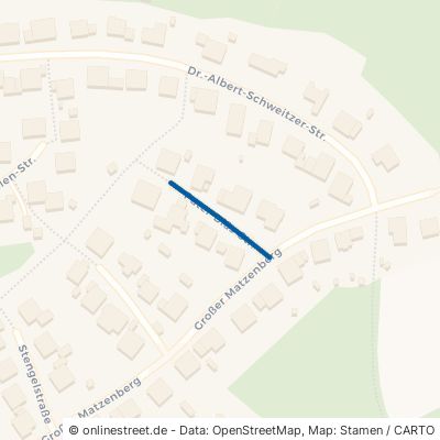 Pater-Bläs-Straße 66606 Sankt Wendel Niederlinxweiler