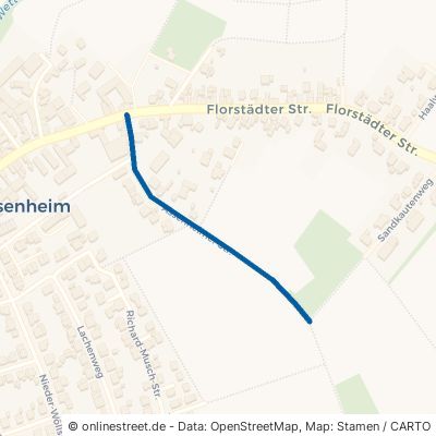 Assenheimer Straße Friedberg (Hessen) Ossenheim 