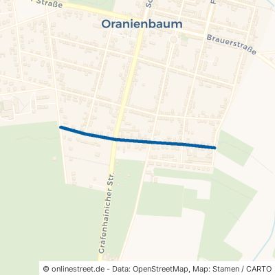 Friedensstraße Oranienbaum-Wörlitz Oranienbaum 