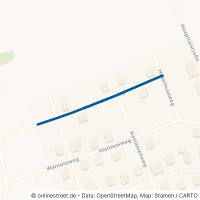Bucheckernweg 48496 Hopsten 