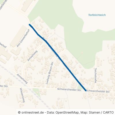Rudolf-Breitscheid-Straße 01979 Lauchhammer 
