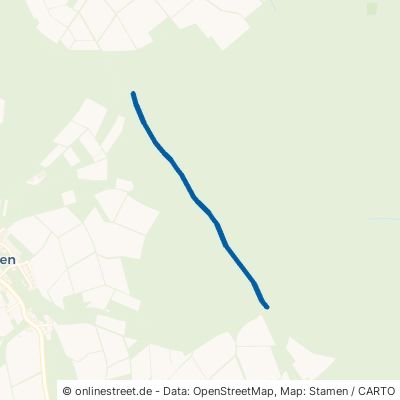 Schwarzkiefern Weg Jesberg Hundshausen 
