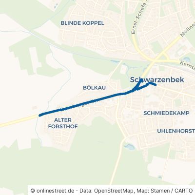 Hamburger Straße Schwarzenbek 