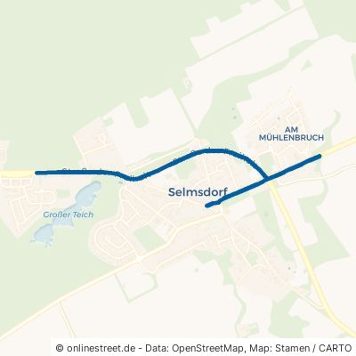 Straße der Freiheit Selmsdorf 
