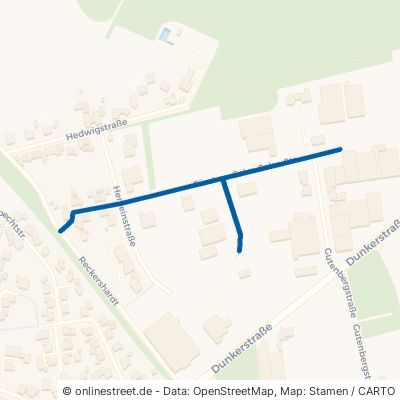 Fürst-Zu-Salm-Salm-Straße Borken Borkenwirthe/Burlo 