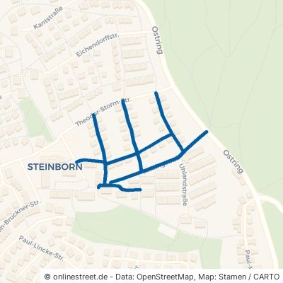 Lessingstraße 67304 Eisenberg (Pfalz) Steinborn Steinborn