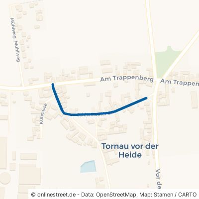 Schierstedter Straße Raguhn-Jeßnitz Tornau v d Heide 