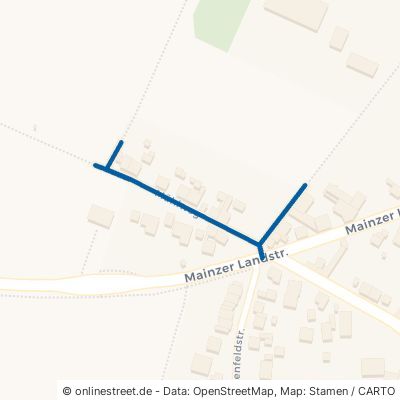 Mühlweg 55237 Bornheim 