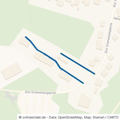 Dr.-Lienke-Weg 38685 Langelsheim Astfeld 