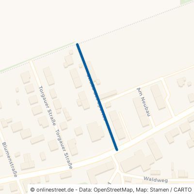 Straße Des Sportes Liebschützberg Borna 
