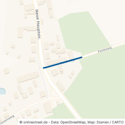 Feldweg 15913 Märkische Heide Schuhlen-Wiese 