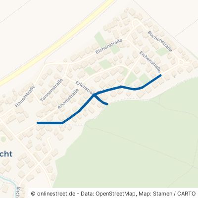 Birkenstraße Eching Viecht 