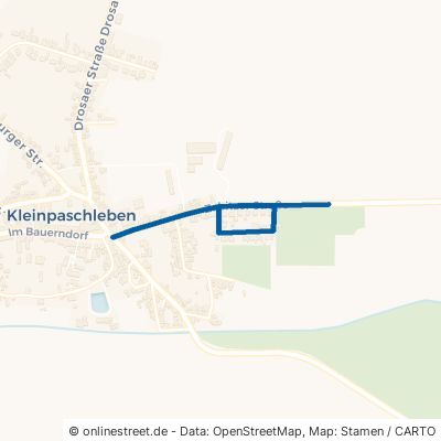 Zabitzer Straße Osternienburger Land Kleinpaschleben 