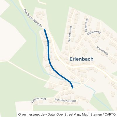 Siedlerweg Erbach Erlenbach 