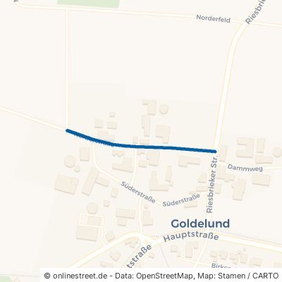 Norderstraße 25862 Goldelund 