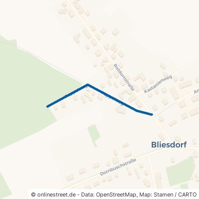 Pappelweg Bliesdorf 