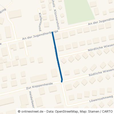 Wiesenstraße Graal-Müritz 