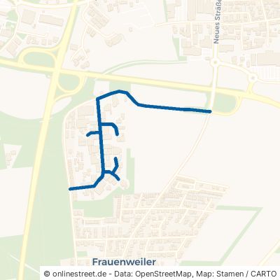 Ludwig-Wagner-Straße 69168 Wiesloch Frauenweiler Frauenweiler