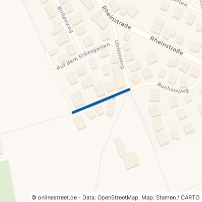 Ahornweg 55278 Mommenheim 