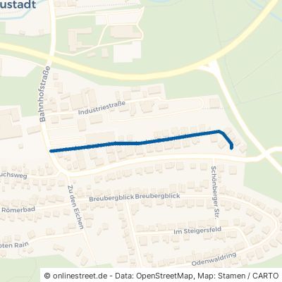 in Den Bodenäckern 64747 Breuberg Neustadt 