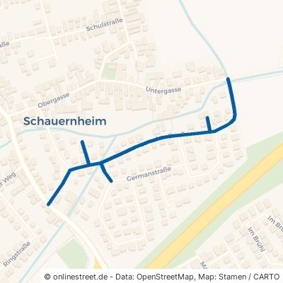 Lorscher Straße 67125 Dannstadt-Schauernheim Schauernheim Schauernheim