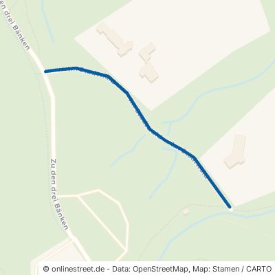 Im Stadtwald Arnsberg Neheim-Hüsten 