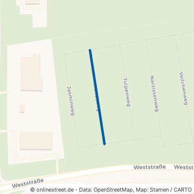 Krokusweg Dessau-Roßlau Dessau 