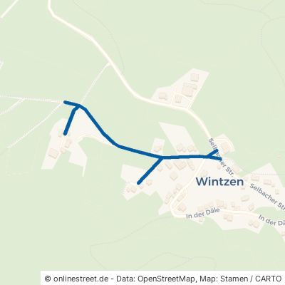 Wintzen Schleiden Wintzen 