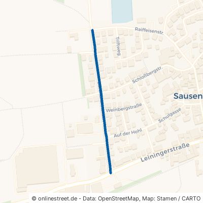 Bärenbrunnenstraße Grünstadt Sausenheim 