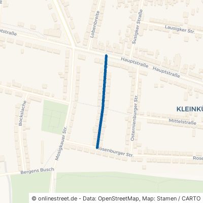 Merziener Straße Dessau-Roßlau Kleinkühnau 