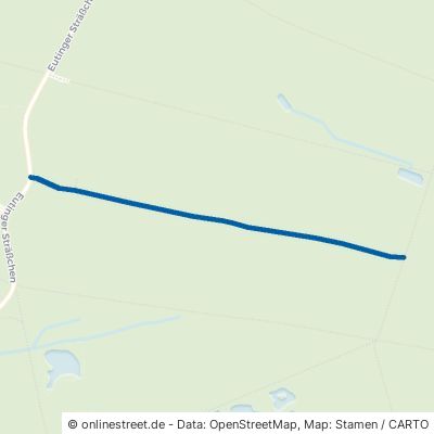 Totenwaldweg Pforzheim Buckenberg 