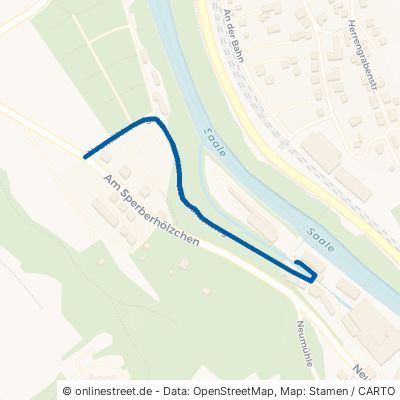 Neumühlenweg Saalfeld (Saale) Saalfeld 