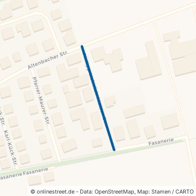 Philipp-Heinrich-Messer-Straße 67098 Bad Dürkheim Ungstein 