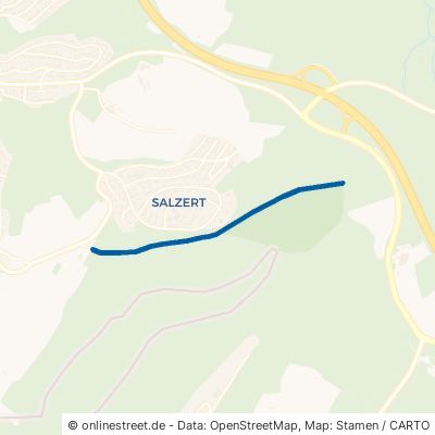 Alter Steinenweg Lörrach 