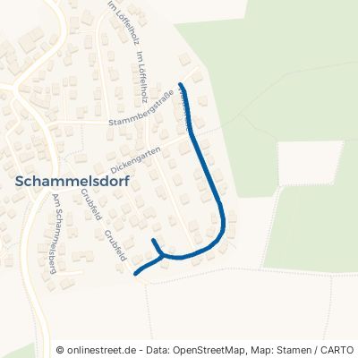Waldstraße Litzendorf Schammelsdorf 