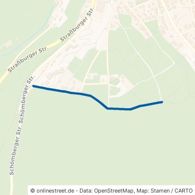 Vischerweg 72250 Freudenstadt 