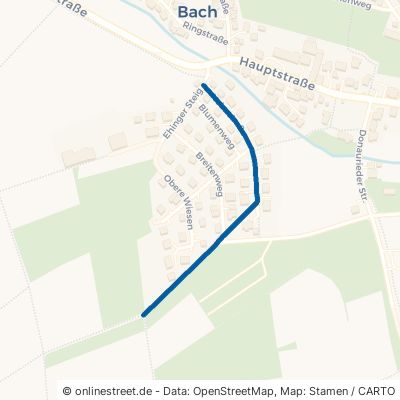 Heimstraße Erbach Bach 