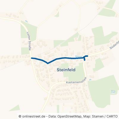 Dorfstraße Steinfeld 