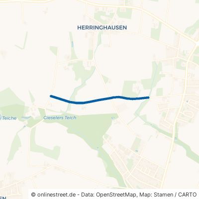 Bextenweg Enger Herringhausen 
