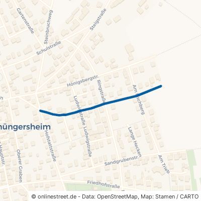 Geissbergstraße Thüngersheim 