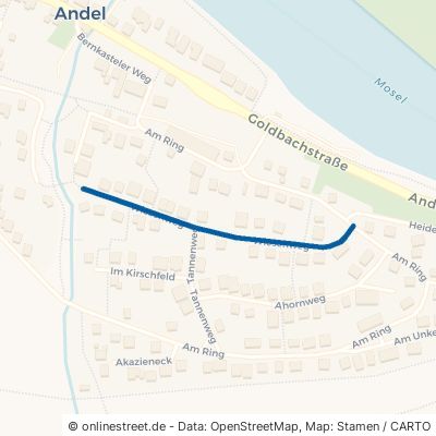 Wiesenweg Bernkastel-Kues Andel 