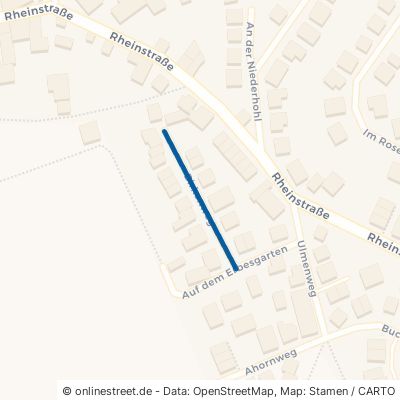 Birkenweg 55278 Mommenheim 