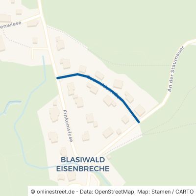 Seewaldstraße Schluchsee Blasiwald 