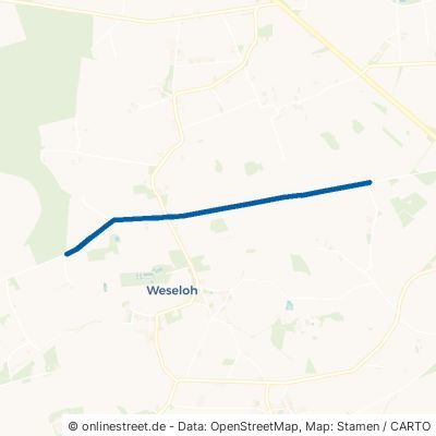 Benser Weg 27305 Süstedt Weseloh 